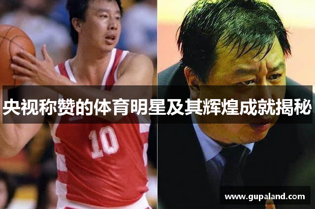 央视称赞的体育明星及其辉煌成就揭秘