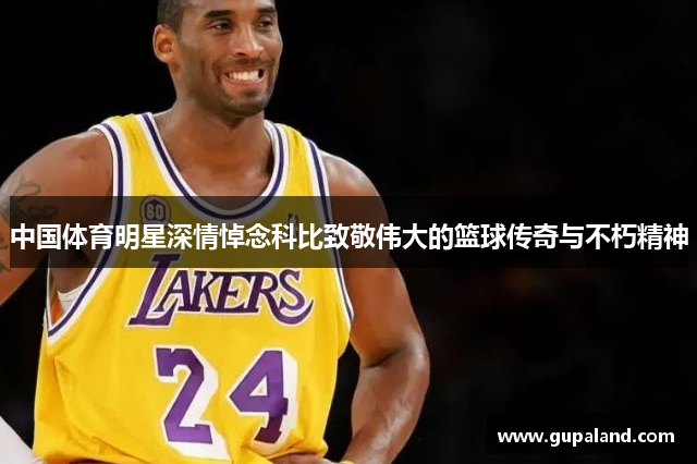 中国体育明星深情悼念科比致敬伟大的篮球传奇与不朽精神