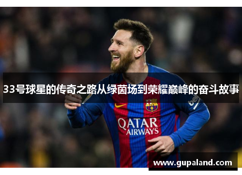 33号球星的传奇之路从绿茵场到荣耀巅峰的奋斗故事